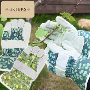 英国ブランド Spear＆Jackson キューガーデン ガーデングローブ S