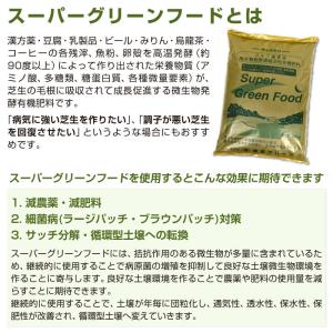 芝生用微生物発酵濃縮&活性有機肥料 スーパーグ...の詳細画像2