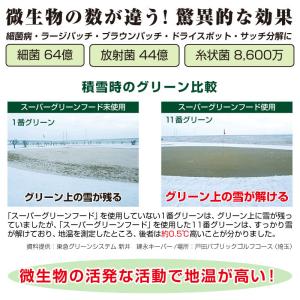 芝生用微生物発酵濃縮&活性有機肥料 スーパーグ...の詳細画像3
