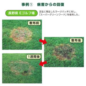 芝生用微生物発酵濃縮&活性有機肥料 スーパーグ...の詳細画像5