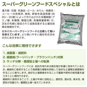 芝生用土壌改良微生物資材 スーパーグリーンフー...の詳細画像2