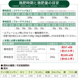 芝生用土壌改良微生物資材 スーパーグリーンフー...の詳細画像3