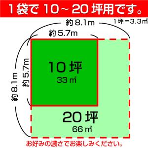 芝 芝生 種 寒地型芝 ハイブリットケンタッキ...の詳細画像4
