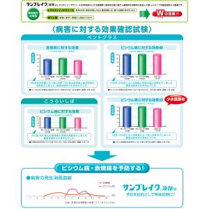 肥料入り芝生用殺菌剤 サンブレイク液剤 500...の詳細画像2