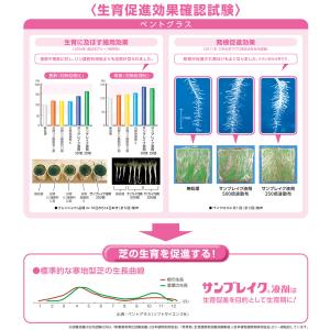 肥料入り芝生用殺菌剤 サンブレイク液剤 500...の詳細画像3