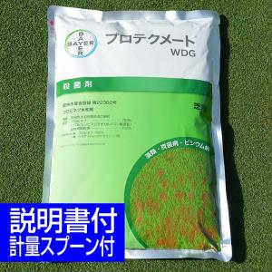 芝生用殺菌剤 病気 病害 プロテクメートWDG 2kg 藻類 ピシウム病 炭そ病