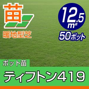 30平米 ティフトン419 蒔き芝用 約30平米 9坪分 芝生 暖地型 園芸