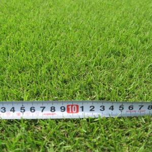 2平米 TM9 鳥取産 ティーエムナイン 登録...の詳細画像1