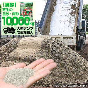 芝生用 目砂 乾燥砂 木曽川流域産 洗い砂 [0-1mm] 1000kg (20kg×50袋