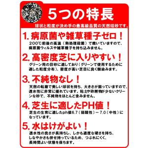 芝生 目砂 乾燥 焼砂 バロネス 芝生の目砂・...の詳細画像4
