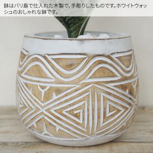 サンセベリア 人工観葉植物 フェイクグリーン ...の詳細画像4