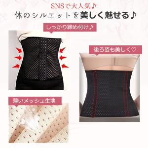 コルセット ＼2点目半額クーポン/ くびれ ウ...の詳細画像3