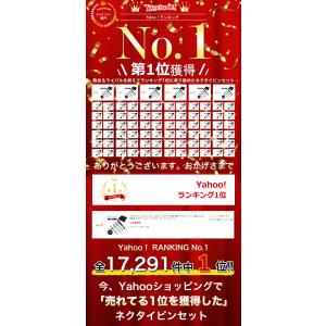 ネクタイピン タイピン セット 4点セット お...の詳細画像1