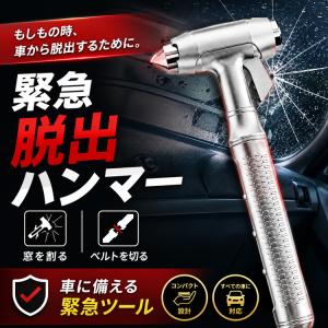barsado2_5508
