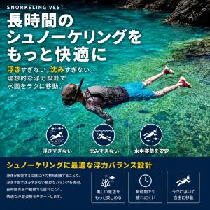 JES-BASARO (ジェスバサロ) LIF...の詳細画像1