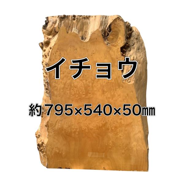 イチョウ 銀杏 木材 板 一枚板 DIY 材料 板材 木工 工作 無垢板 家具 手作り インテリア ...