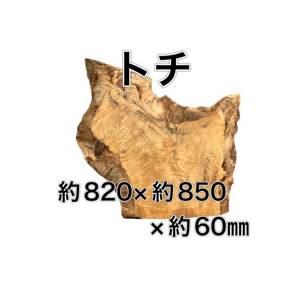トチ 木材 一枚板 板 DIY 材料 無垢板 木工 工作 家具 手作り インテリア 木 旋盤  棚 ...