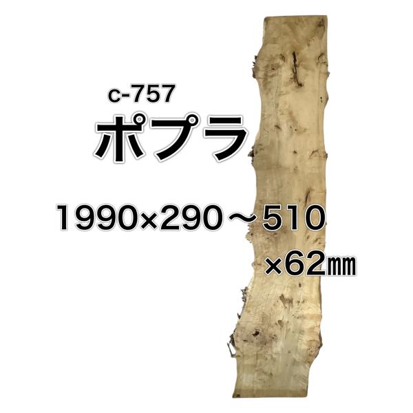 ポプラ コブ 木材 一枚板 板 DIY 材料 無垢板 木工 工作 家具 手作り インテリア 木 旋盤...