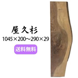 モンキーポット　一枚板　未加工　DIY モンキーポッド 木材 板 一枚板 DIY 材料 無垢板 木工 工作 家具