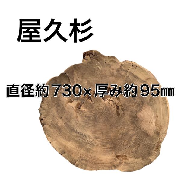 ヤクスギ 屋久杉 木材 板 一枚板 DIY 材料 無垢板 木工 工作 家具 手作り インテリア 木 ...