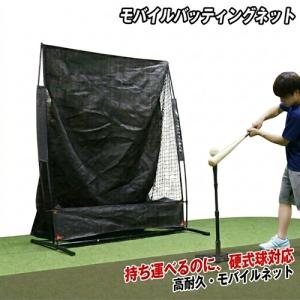 SANWA TAIKU バッティングネット 集球ネット 少年 軟式用 全面集球型