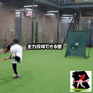 壁ネット FKBS-1310S フィールディング ピッチング練習 少年野球 学童野球 フィールドフォース