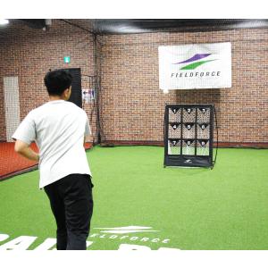 ターゲットコントロール FTCS-19＋FFRM-100 ストラックアウト