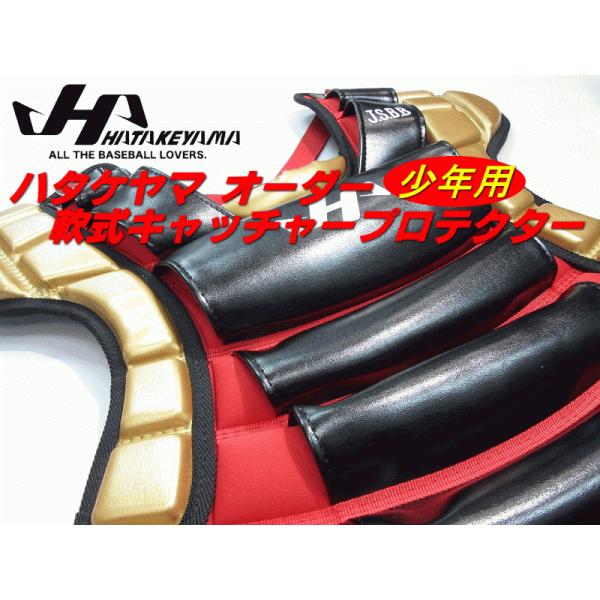 ハタケヤマ オーダープロテクター 少年用軟式野球・ゴムソフト対応 CG-NOJP キャッチャーギア ...