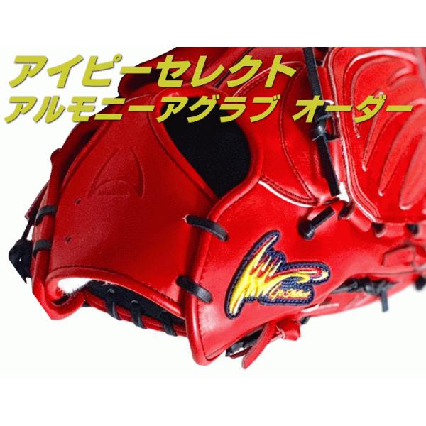 ポイント5倍 2025年 アイピーセレクト オーダー 硬式グラブ アルモニーア オーダー ジーリアル...
