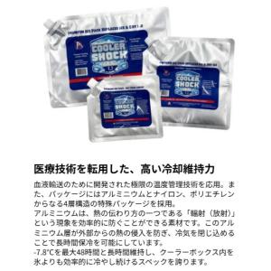 クーラーショック BENTO & GO...の詳細画像1