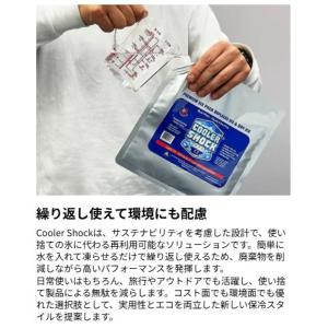 クーラーショック BENTO & GO...の詳細画像2