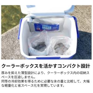 クーラーショック BENTO & GO...の詳細画像3