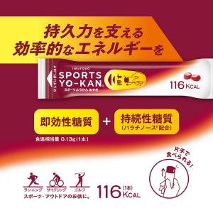 井村屋 スポーツようかん あずき 1本 (11...の詳細画像2
