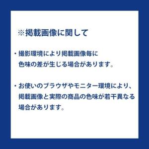 ファイントラック ドライレイヤーインナーソック...の詳細画像2