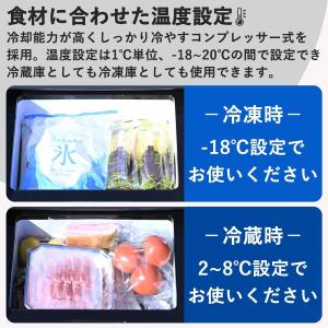 【在庫有・即納】山善 ポータブル冷蔵庫 冷凍冷...の詳細画像2