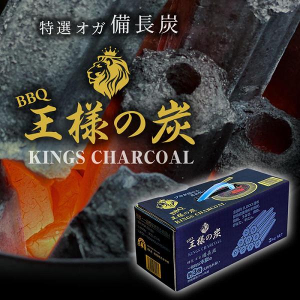 【在庫有・即納】  たかやま 特選 オガ炭 王様の炭 3kg　 木炭 高山 備長炭 バーベキュー イ...