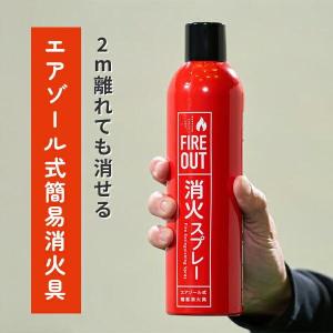 【在庫有・即納】【まとめ買い】マカン 消火スプ...の詳細画像1