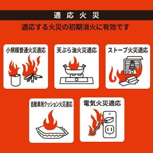 【在庫有・即納】【まとめ買い】マカン 消火スプ...の詳細画像2