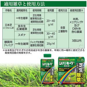 【在庫有・即納】シバキープIII 粒剤 3kg...の詳細画像1