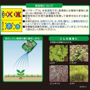 【在庫有・即納】【まとめ買い】レインボー薬品 ...の詳細画像2