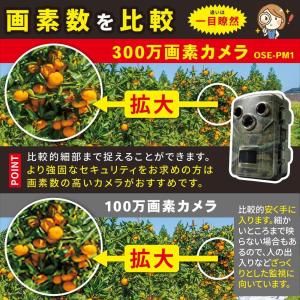 【在庫有・即納】オーム(OHM) 電機 防犯カ...の詳細画像4