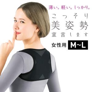 La-VIE こっそり美姿勢宣言します Ｍ−Ｌ 3B-3399 フィットネス トレーニング 健康器具 癒し リラックス