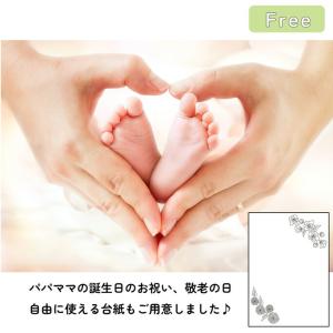 手書き 命名書 用紙のみ 手形 足形 赤ちゃん...の詳細画像5
