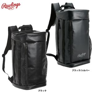 久保田スラッガー（KUBOTA SLUGGER） レザーバッグinバッグ 大 約22×33