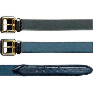 ミズノ ミズノプロ 野球用 バイオギアmove ベルト (スムース)