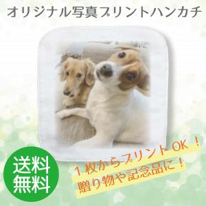 Tシャツのbasic Cover 写真入りグッズ 写真プリントグッズ Yahoo ショッピング