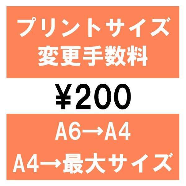 【変更手数料】Tシャツ作成　A6→A4・A4→最大サイズ変更