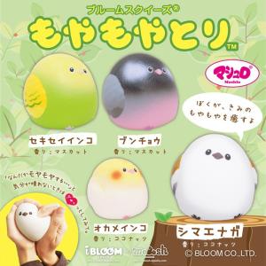 スクイーズ ブルーム  もやもやとり