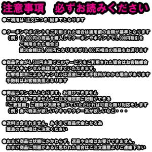 【商品説明をお読みください】1円おまけ【4,5...の詳細画像2