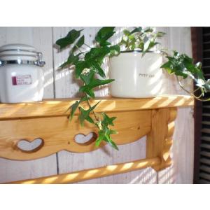 カントリー雑貨 小物 ZAKKA ディスプレイ リモコンスタンド